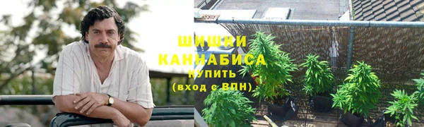 шишки Богородицк